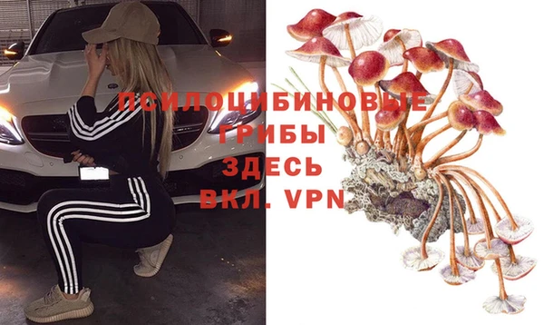 молекула духа Абинск