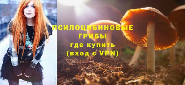 молекула духа Абинск