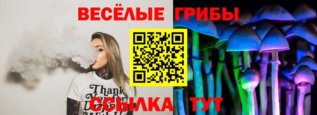 Галлюциногенные грибы Psilocybine cubensis Кострома